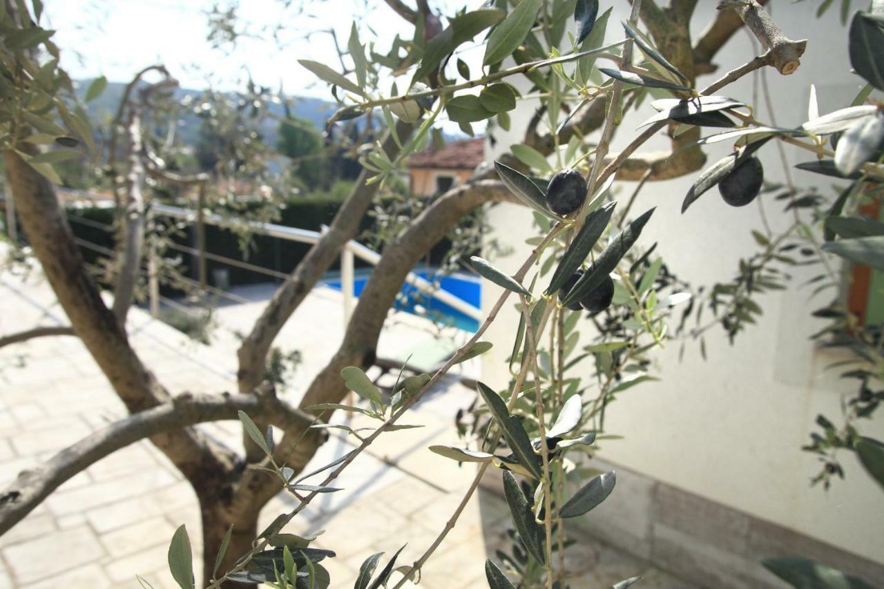 Spacious Villa In Parecag With A Swimming Pool Sečovlje Dış mekan fotoğraf